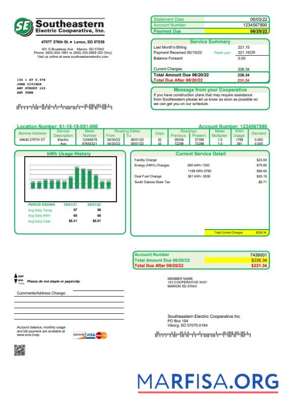 Realistic USA South Dakota Southeastern Electric utility bill template in Word and PDF format